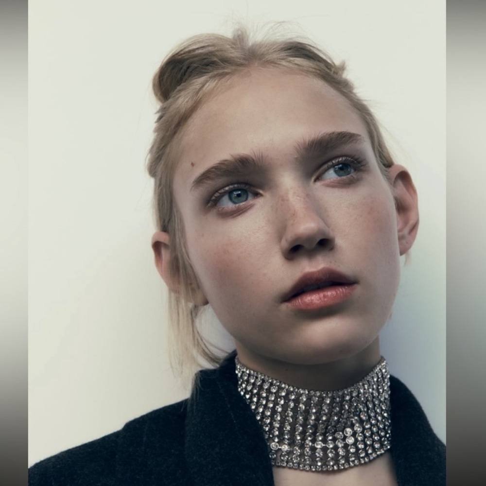 ZARA ✨Bejeweled Choker Necklace ✨ Adjustable